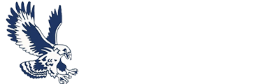 CTA Falcons Store